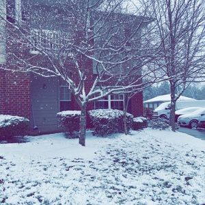 Meet your Posher, Reham